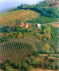 Wine farm 1